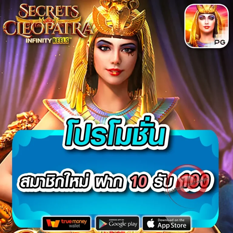 WISDOMBET ทางเข้า